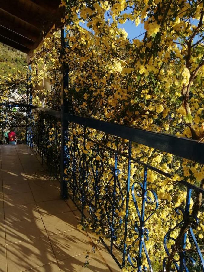 Apartament Lefki'S House Drymon Zewnętrze zdjęcie